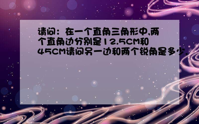 请问：在一个直角三角形中,两个直角边分别是12.5CM和45CM请问另一边和两个锐角是多少,