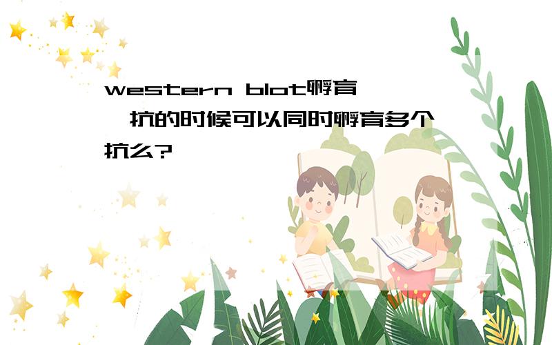 western blot孵育一抗的时候可以同时孵育多个一抗么?