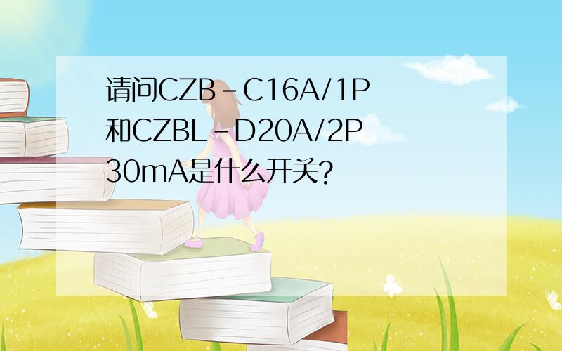 请问CZB-C16A/1P 和CZBL-D20A/2P 30mA是什么开关?