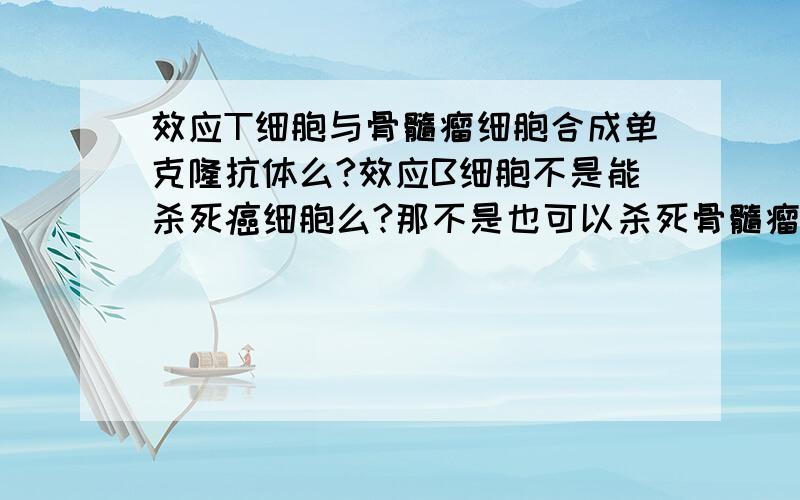 效应T细胞与骨髓瘤细胞合成单克隆抗体么?效应B细胞不是能杀死癌细胞么?那不是也可以杀死骨髓瘤细胞么?制造生物导弹为什么不用效应T细胞?