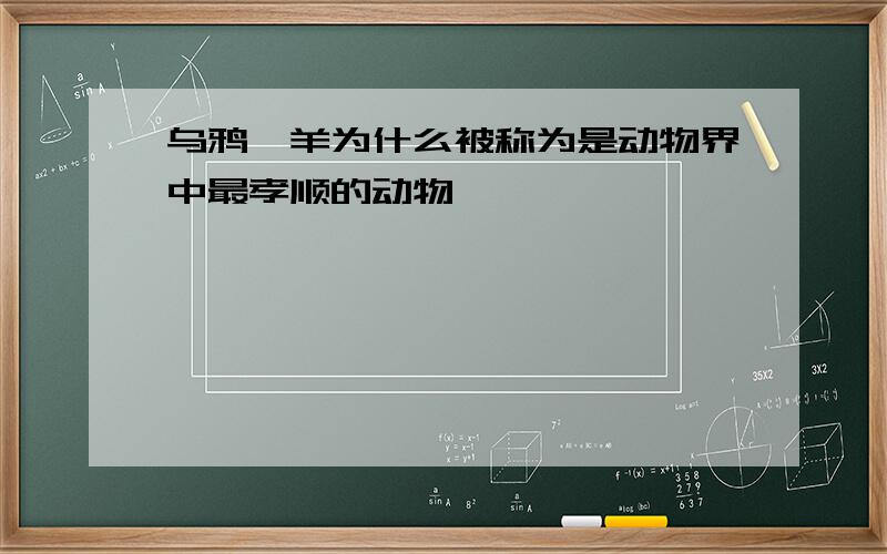 乌鸦,羊为什么被称为是动物界中最孝顺的动物