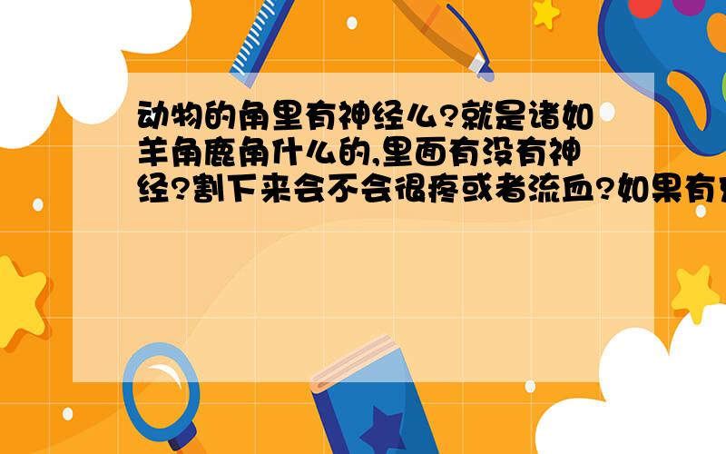 动物的角里有神经么?就是诸如羊角鹿角什么的,里面有没有神经?割下来会不会很疼或者流血?如果有充足的时间还会再长回去么?