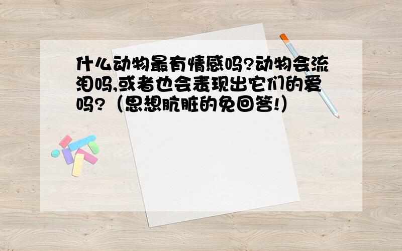 什么动物最有情感吗?动物会流泪吗,或者也会表现出它们的爱吗?（思想肮脏的免回答!）