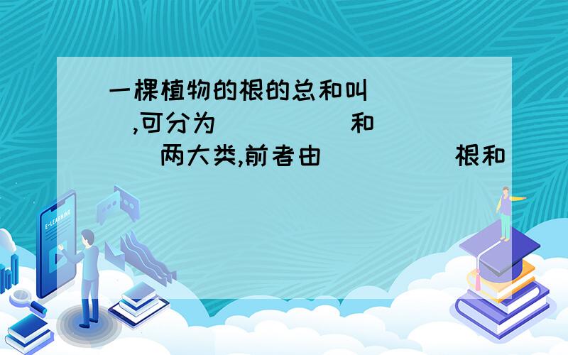 一棵植物的根的总和叫_____,可分为_____和_____两大类,前者由_____根和_____根组成,后者是由_____根组成