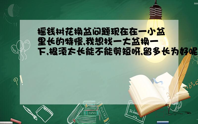 摇钱树花换盆问题现在在一小盆里长的特慢,我想找一大盆换一下,根须太长能不能剪短呀,留多长为好呢,换完盆后用不用施肥.一年都没怎么长,不知道是怎么回事