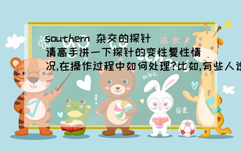 southern 杂交的探针请高手讲一下探针的变性复性情况,在操作过程中如何处理?比如,有些人说是合成DIG标记的探针要95度加热,然后直接进行杂交,也有是说迅速放入冰上降温,然后再杂交.（我的