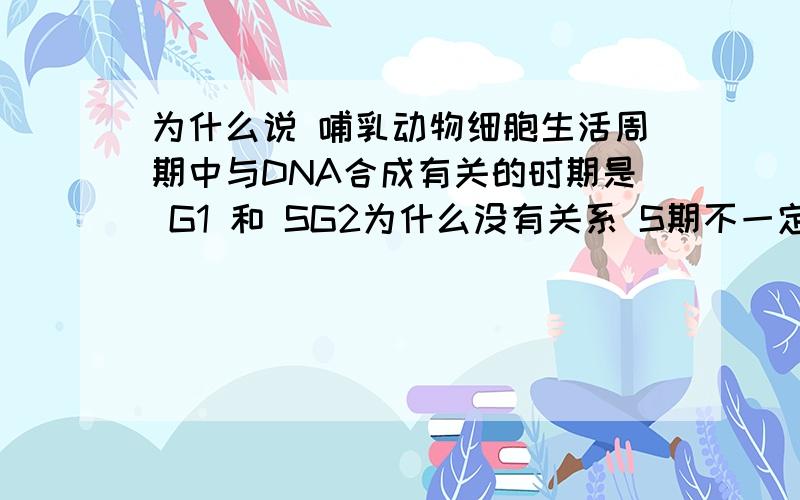 为什么说 哺乳动物细胞生活周期中与DNA合成有关的时期是 G1 和 SG2为什么没有关系 S期不一定完全复制完了啊