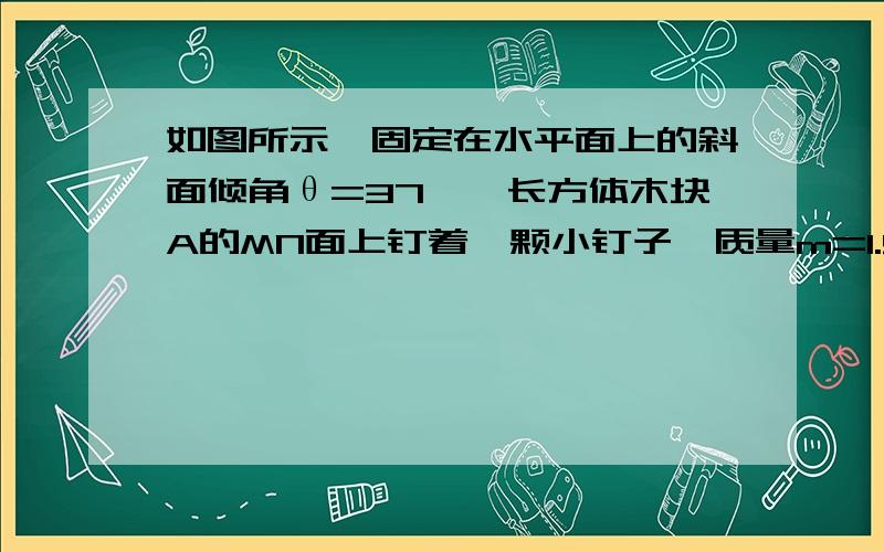 如图所示,固定在水平面上的斜面倾角θ=37°,长方体木块A的MN面上钉着一颗小钉子,质量m=1.5kg的小球B通过一细线与小钉子相连接,细线与斜面垂直,木块与斜面间的动摩擦因数μ=0.50．现将木块由