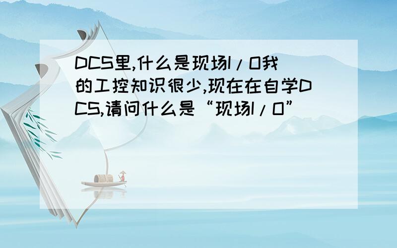 DCS里,什么是现场I/O我的工控知识很少,现在在自学DCS,请问什么是“现场I/O”