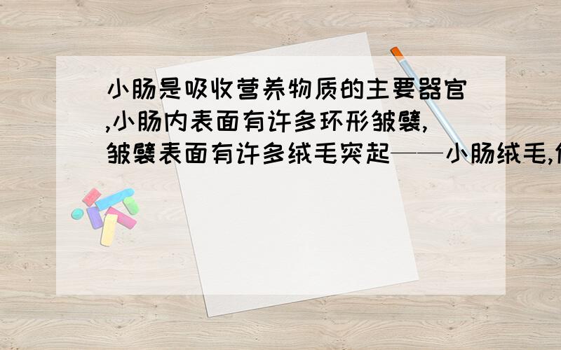 小肠是吸收营养物质的主要器官,小肠内表面有许多环形皱襞,皱襞表面有许多绒毛突起——小肠绒毛,你能解释这些结构特点对于小肠完成其功能有什么作用?