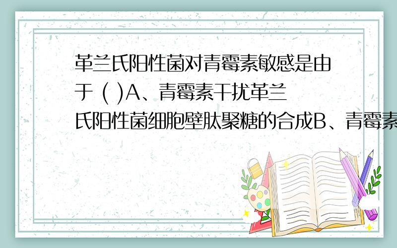 革兰氏阳性菌对青霉素敏感是由于 ( )A、青霉素干扰革兰氏阳性菌细胞壁肽聚糖的合成B、青霉素能溶解革兰氏阳性菌的细胞壁C、青霉素能抑制革兰氏阳性菌合成胞壁酸D、青霉素能破坏革兰