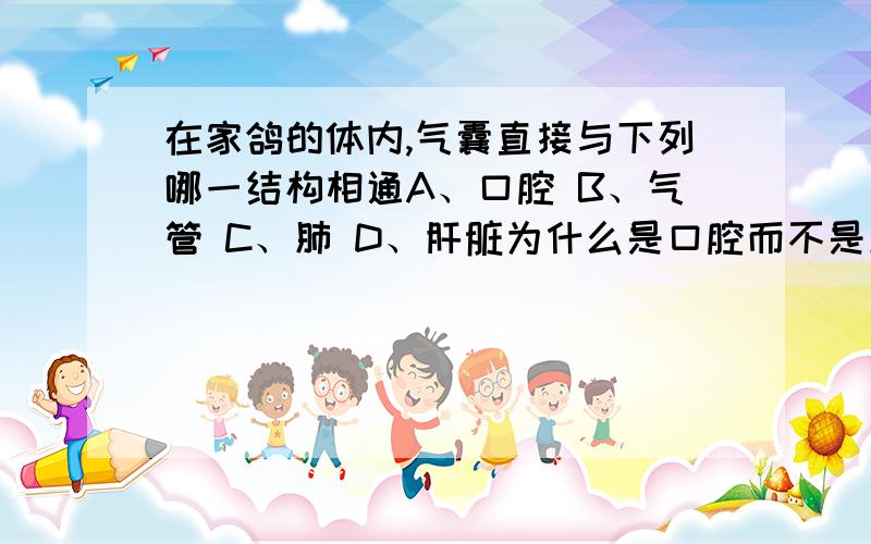 在家鸽的体内,气囊直接与下列哪一结构相通A、口腔 B、气管 C、肺 D、肝脏为什么是口腔而不是肺