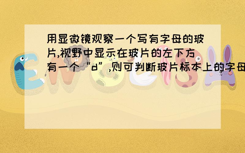 用显微镜观察一个写有字母的玻片,视野中显示在玻片的左下方有一个“d”,则可判断玻片标本上的字母是（）补充为：用显微镜观察一个写有字母的玻片,视野中显示在玻片的左下方有一个“