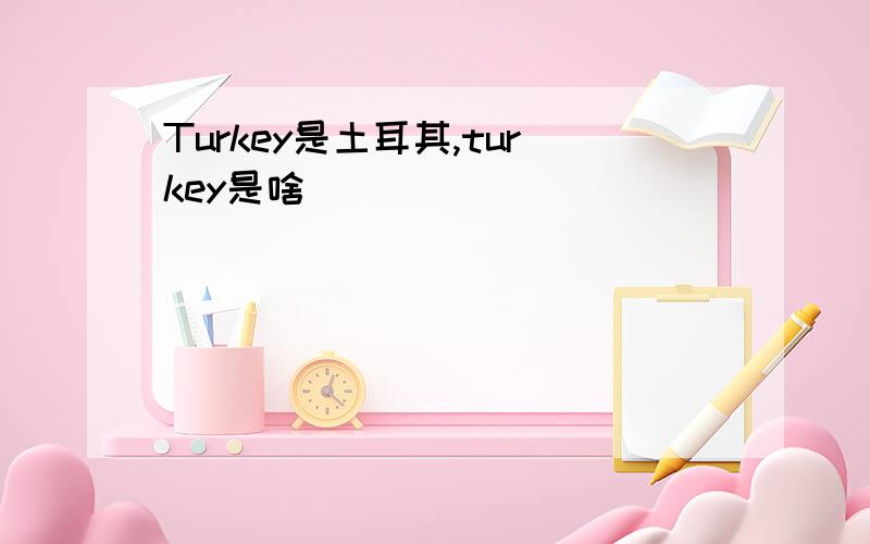 Turkey是土耳其,turkey是啥