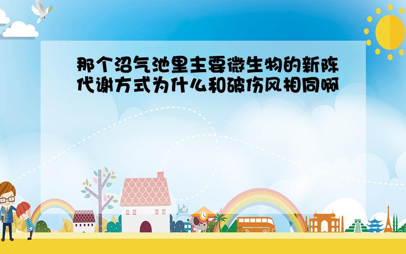 那个沼气池里主要微生物的新陈代谢方式为什么和破伤风相同啊