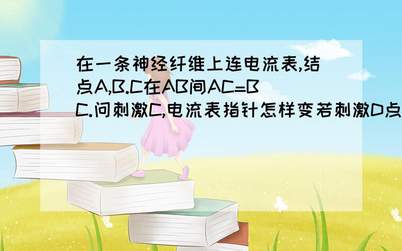 在一条神经纤维上连电流表,结点A,B.C在AB间AC=BC.问刺激C,电流表指针怎样变若刺激D点（AD不等于BD)怎样偏转.（要有偏转方向）