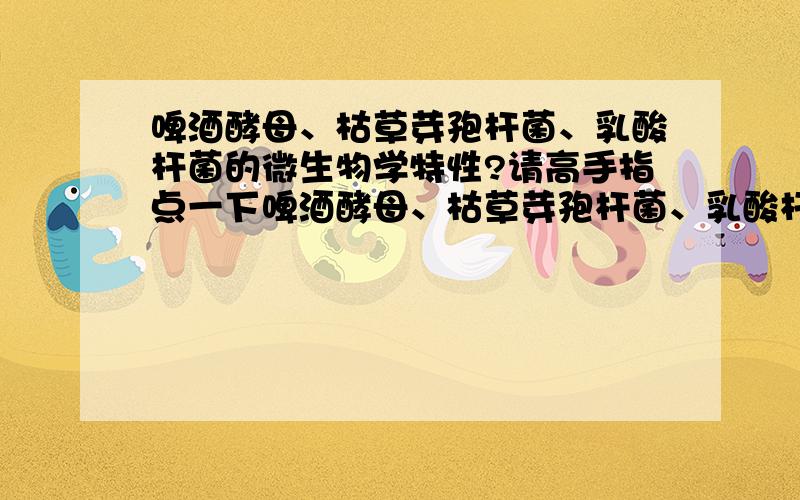 啤酒酵母、枯草芽孢杆菌、乳酸杆菌的微生物学特性?请高手指点一下啤酒酵母、枯草芽孢杆菌、乳酸杆菌的微生物学特性、培养基配制.能否给点具体的？