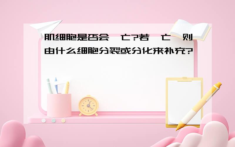 肌细胞是否会凋亡?若凋亡,则由什么细胞分裂或分化来补充?