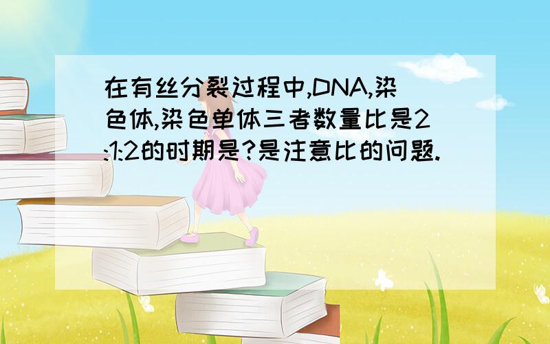 在有丝分裂过程中,DNA,染色体,染色单体三者数量比是2:1:2的时期是?是注意比的问题.