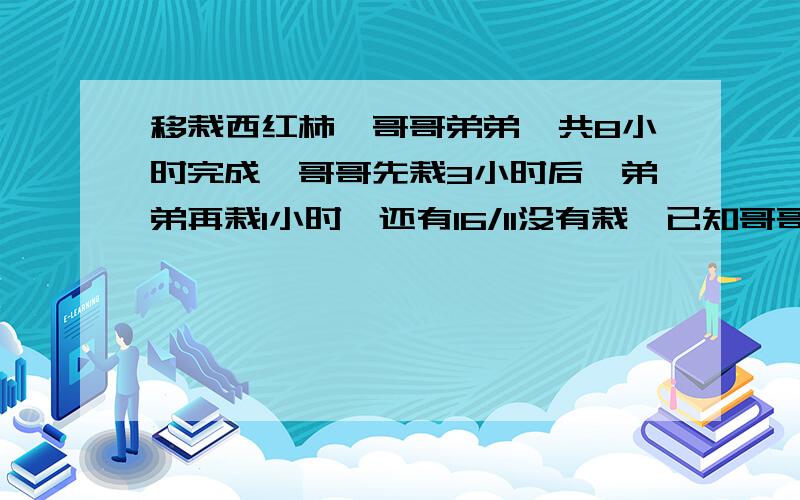 移栽西红柿,哥哥弟弟一共8小时完成,哥哥先栽3小时后,弟弟再栽1小时,还有16/11没有栽,已知哥哥比弟弟每小时多栽7颗,西红柿一共多少颗?