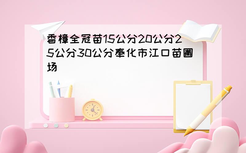 香樟全冠苗15公分20公分25公分30公分奉化市江口苗圃场