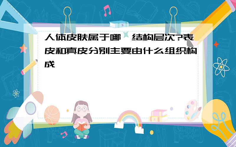 人体皮肤属于哪一结构层次?表皮和真皮分别主要由什么组织构成