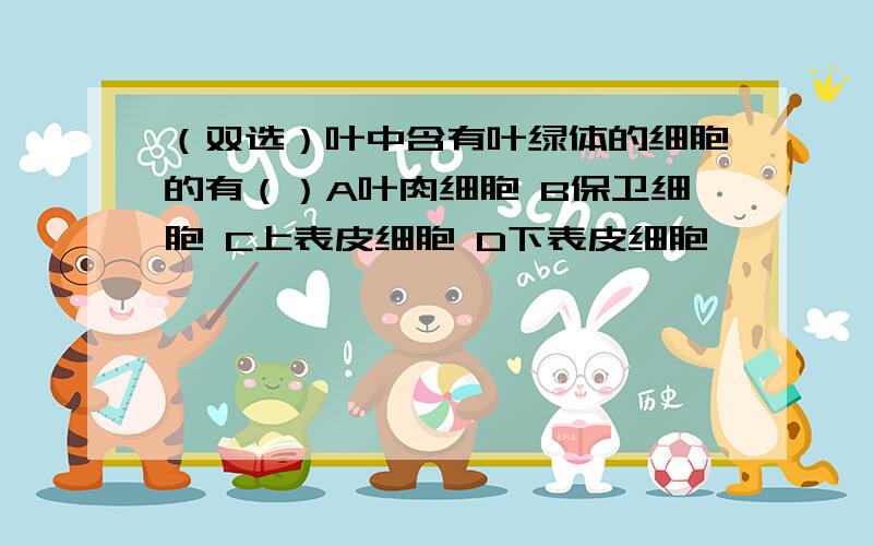 （双选）叶中含有叶绿体的细胞的有（）A叶肉细胞 B保卫细胞 C上表皮细胞 D下表皮细胞