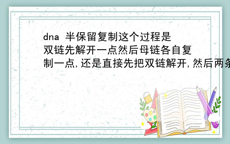 dna 半保留复制这个过程是双链先解开一点然后母链各自复制一点,还是直接先把双链解开,然后两条母链各自复制.