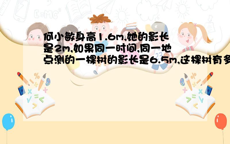 何小敏身高1.6m,她的影长是2m,如果同一时间,同一地点测的一棵树的影长是6.5m,这棵树有多高（用比例知识解答）