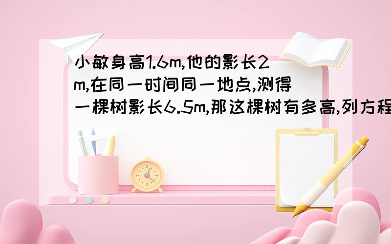 小敏身高1.6m,他的影长2m,在同一时间同一地点,测得一棵树影长6.5m,那这棵树有多高,列方程