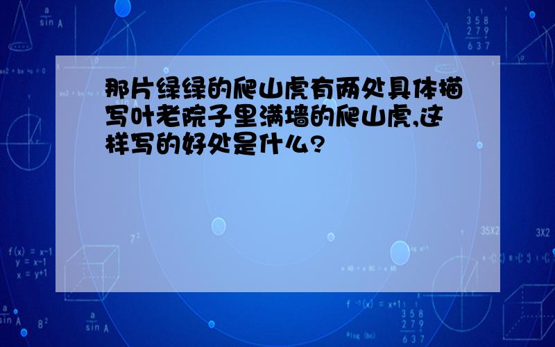 那片绿绿的爬山虎有两处具体描写叶老院子里满墙的爬山虎,这样写的好处是什么?