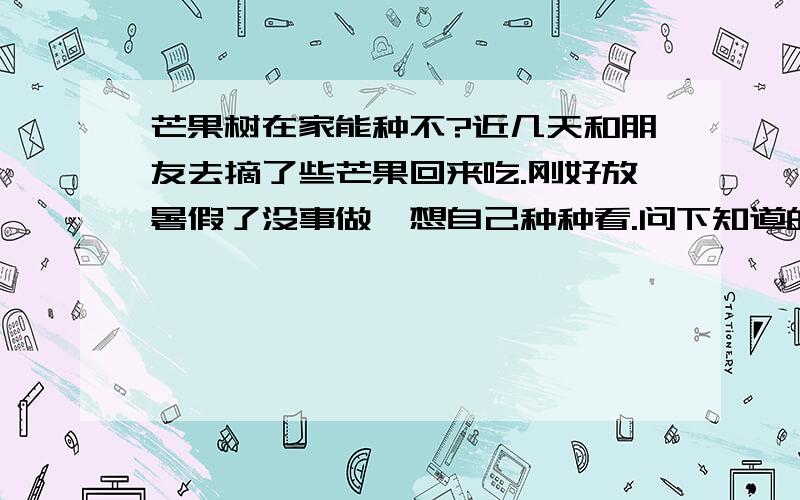 芒果树在家能种不?近几天和朋友去摘了些芒果回来吃.刚好放暑假了没事做,想自己种种看.问下知道的朋友,要怎么种啊?花盆里种得不?吃完芒果,那核是不是可以直接丢进去种而不用怎么处理