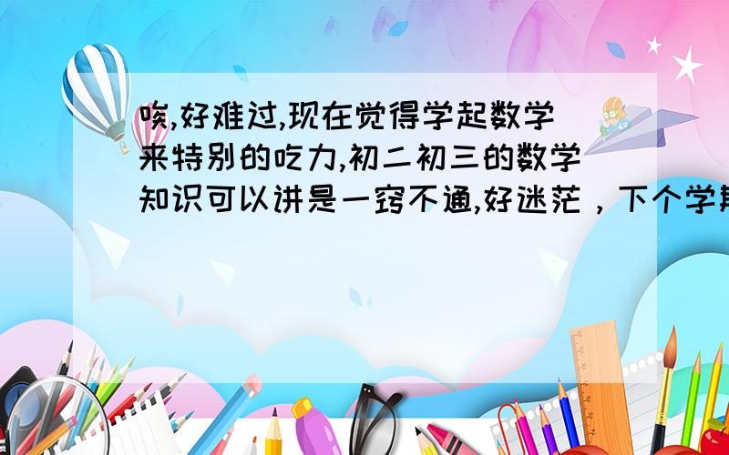 唉,好难过,现在觉得学起数学来特别的吃力,初二初三的数学知识可以讲是一窍不通,好迷茫，下个学期要毕业了怎么办？好心的大哥哥大姐姐能帮帮我吗，呜呜，好绝望，