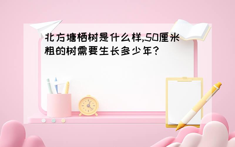 北方塘栖树是什么样,50厘米粗的树需要生长多少年?