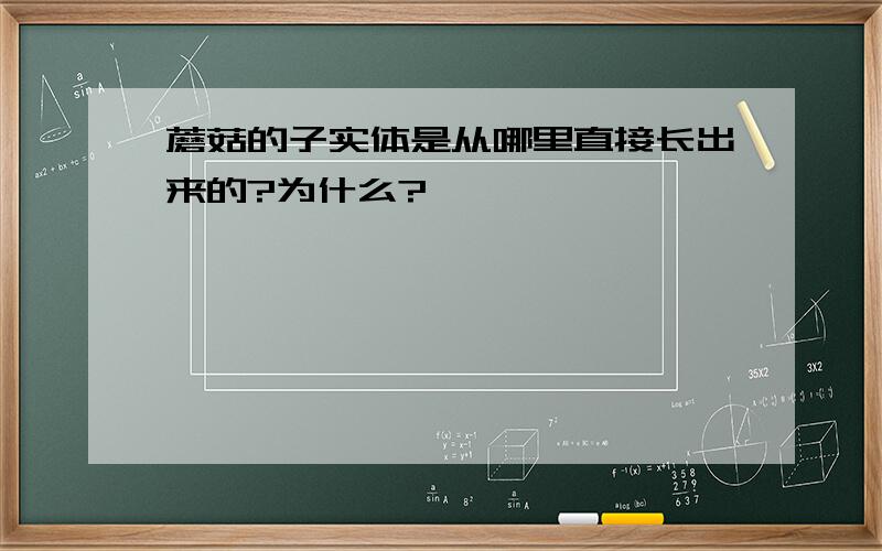 蘑菇的子实体是从哪里直接长出来的?为什么?