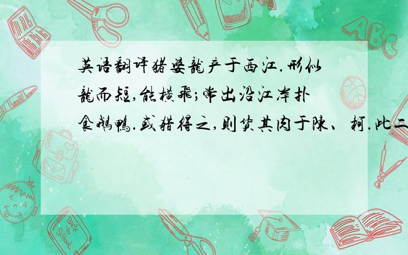 英语翻译猪婆龙产于西江.形似龙而短,能横飞；常出沿江岸扑食鹅鸭.或猎得之,则货其肉于陈、柯.此二姓皆友谅之裔,世食猪婆龙肉,他族不敢食也.一客自江右来,得一头,絷舟中.一日,泊舟钱塘,