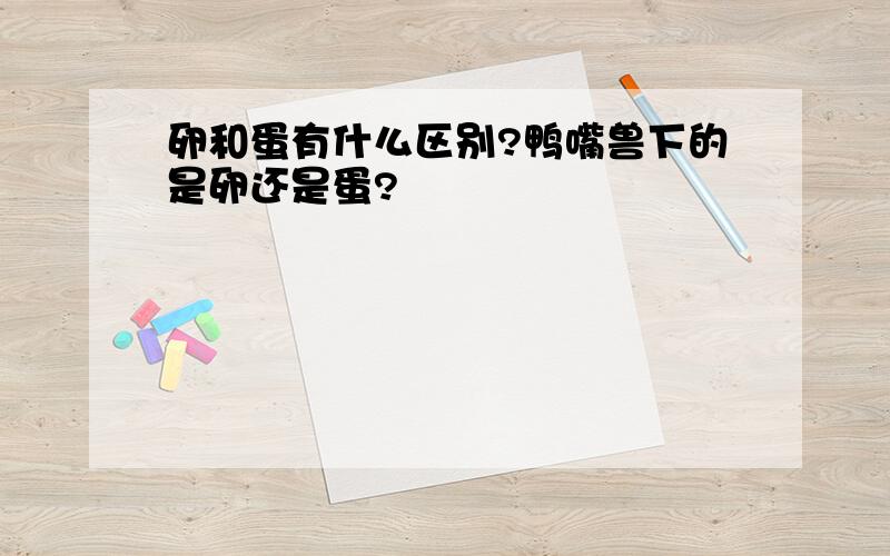 卵和蛋有什么区别?鸭嘴兽下的是卵还是蛋?