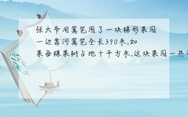 张大爷用篱笆围了一块梯形果园一边靠河篱笆全长390米,如果每棵果树占地十平方米,这块果园一共可栽多少棵树t形的,高是六米