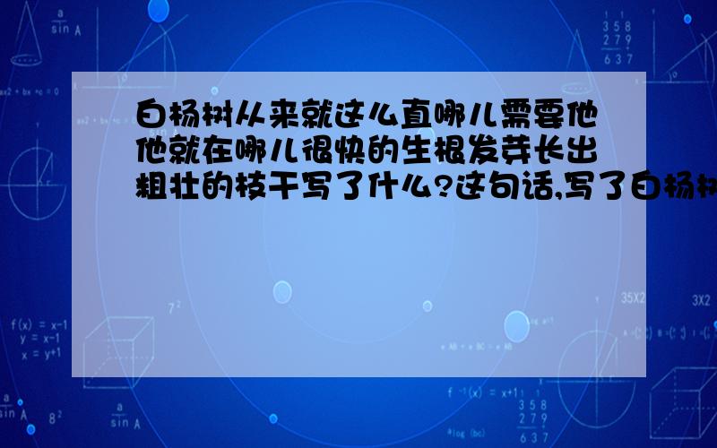 白杨树从来就这么直哪儿需要他他就在哪儿很快的生根发芽长出粗壮的枝干写了什么?这句话,写了白杨树的什么特点?