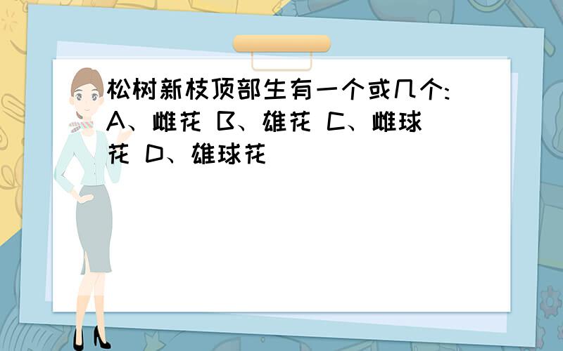 松树新枝顶部生有一个或几个:A、雌花 B、雄花 C、雌球花 D、雄球花