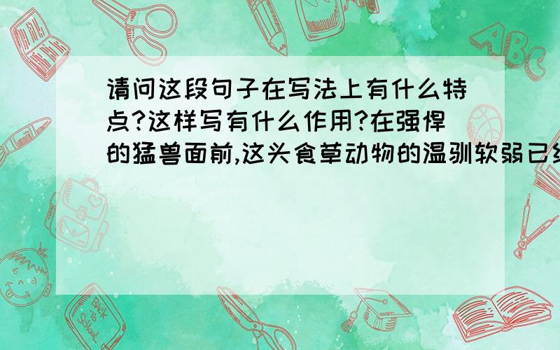 请问这段句子在写法上有什么特点?这样写有什么作用?在强悍的猛兽面前,这头食草动物的温驯软弱已经荡然无存,它吼声如雷,似威武的战将；而那识字的微风,早已消失殆尽,它在这头野牛面前