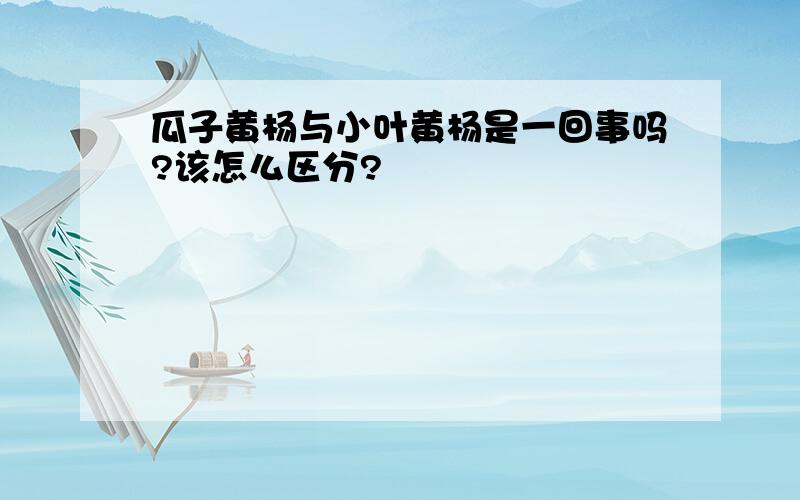 瓜子黄杨与小叶黄杨是一回事吗?该怎么区分?