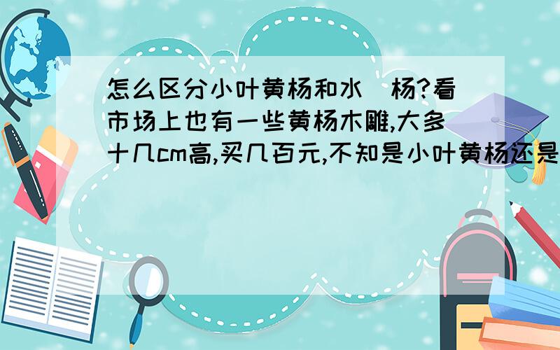 怎么区分小叶黄杨和水黃杨?看市场上也有一些黄杨木雕,大多十几cm高,买几百元,不知是小叶黄杨还是水黄杨?两者怎么区分?＠风流秦公子 ＠聪明笨小鸭