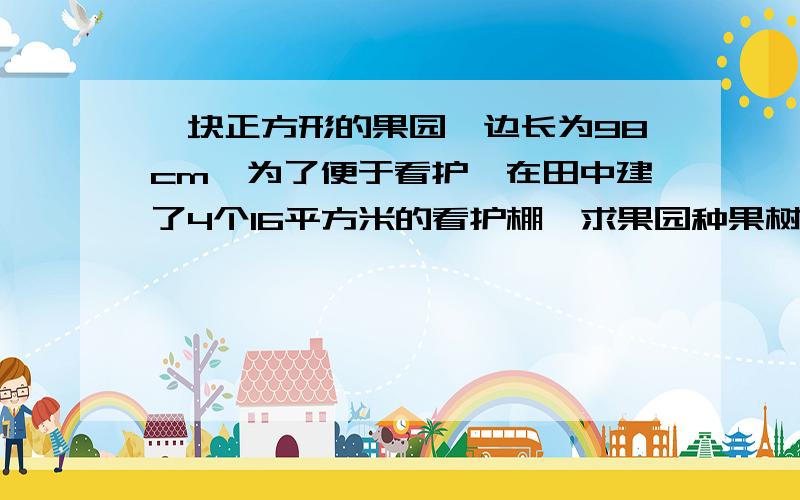 一块正方形的果园,边长为98cm,为了便于看护,在田中建了4个16平方米的看护棚,求果园种果树所占的面积