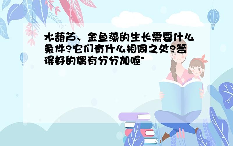 水葫芦、金鱼藻的生长需要什么条件?它们有什么相同之处?答得好的偶有分分加喔~