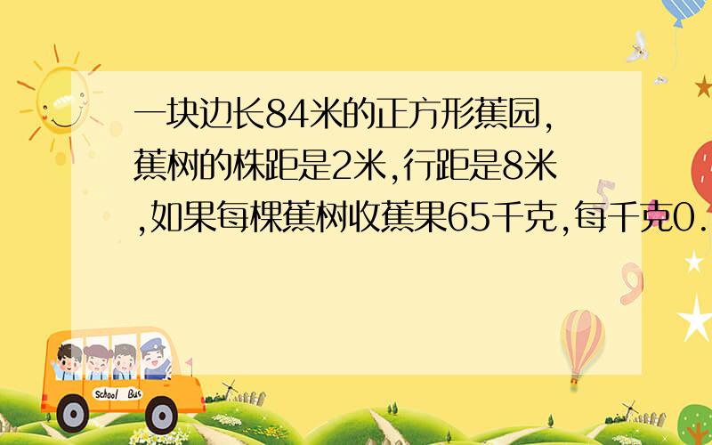 一块边长84米的正方形蕉园,蕉树的株距是2米,行距是8米,如果每棵蕉树收蕉果65千克,每千克0.45元.这个蕉园一年可收入多少元?