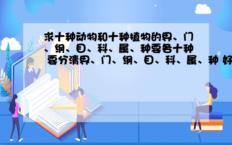 求十种动物和十种植物的界、门、纲、目、科、属、种要各十种 要分清界、门、纲、目、科、属、种 好的加到30以上