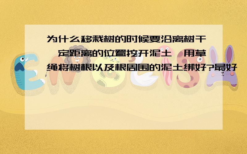 为什么移栽树的时候要沿离树干一定距离的位置挖开泥土,用草绳将树根以及根周围的泥土绑好?最好一针见血.用塑料袋行吗?