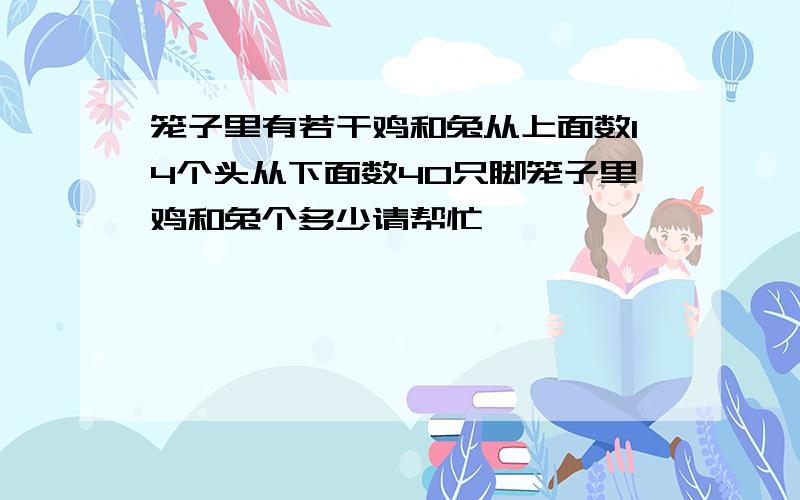 笼子里有若干鸡和兔从上面数14个头从下面数40只脚笼子里鸡和兔个多少请帮忙