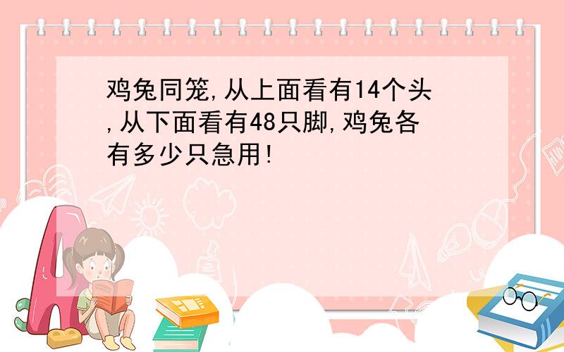 鸡兔同笼,从上面看有14个头,从下面看有48只脚,鸡兔各有多少只急用!